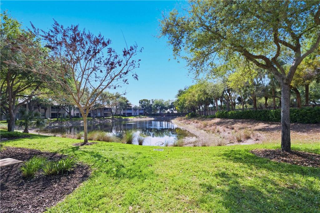 7131 Blue Juniper CT 202