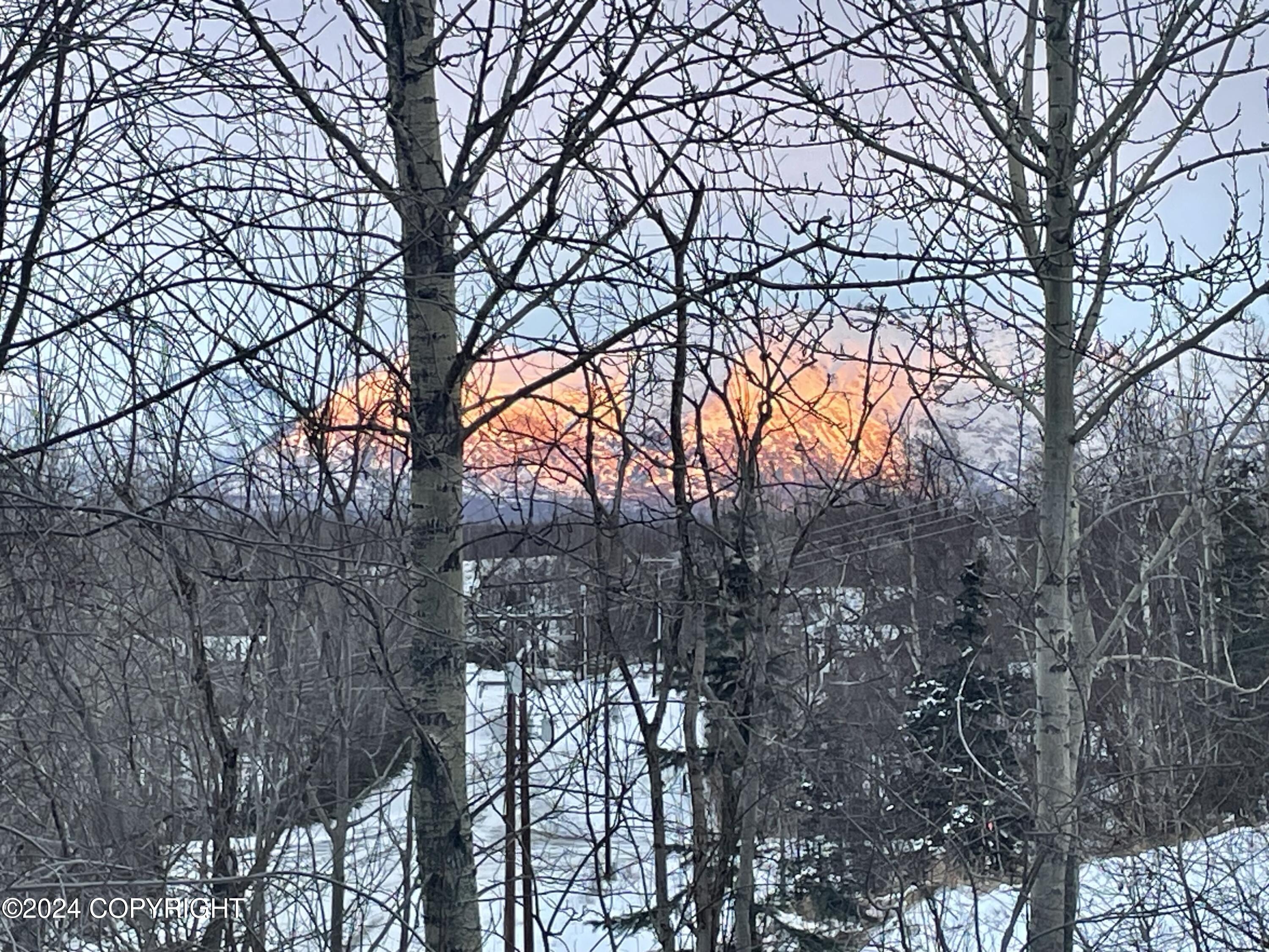 8571 Queensboro Avenue