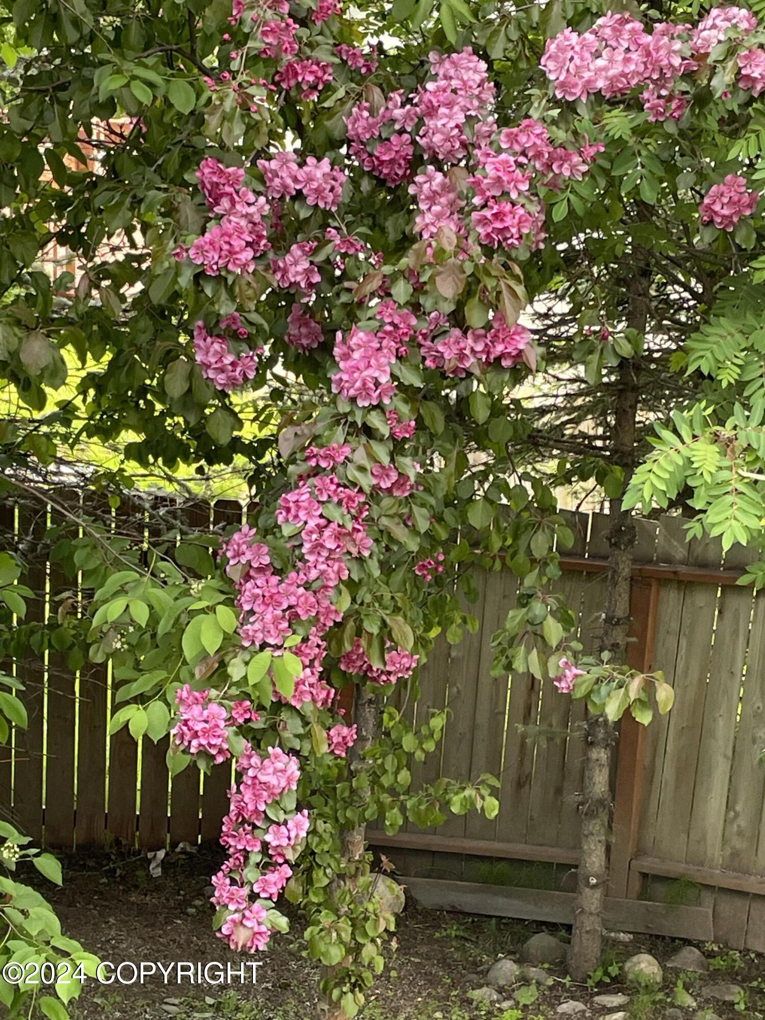 8571 Queensboro Avenue