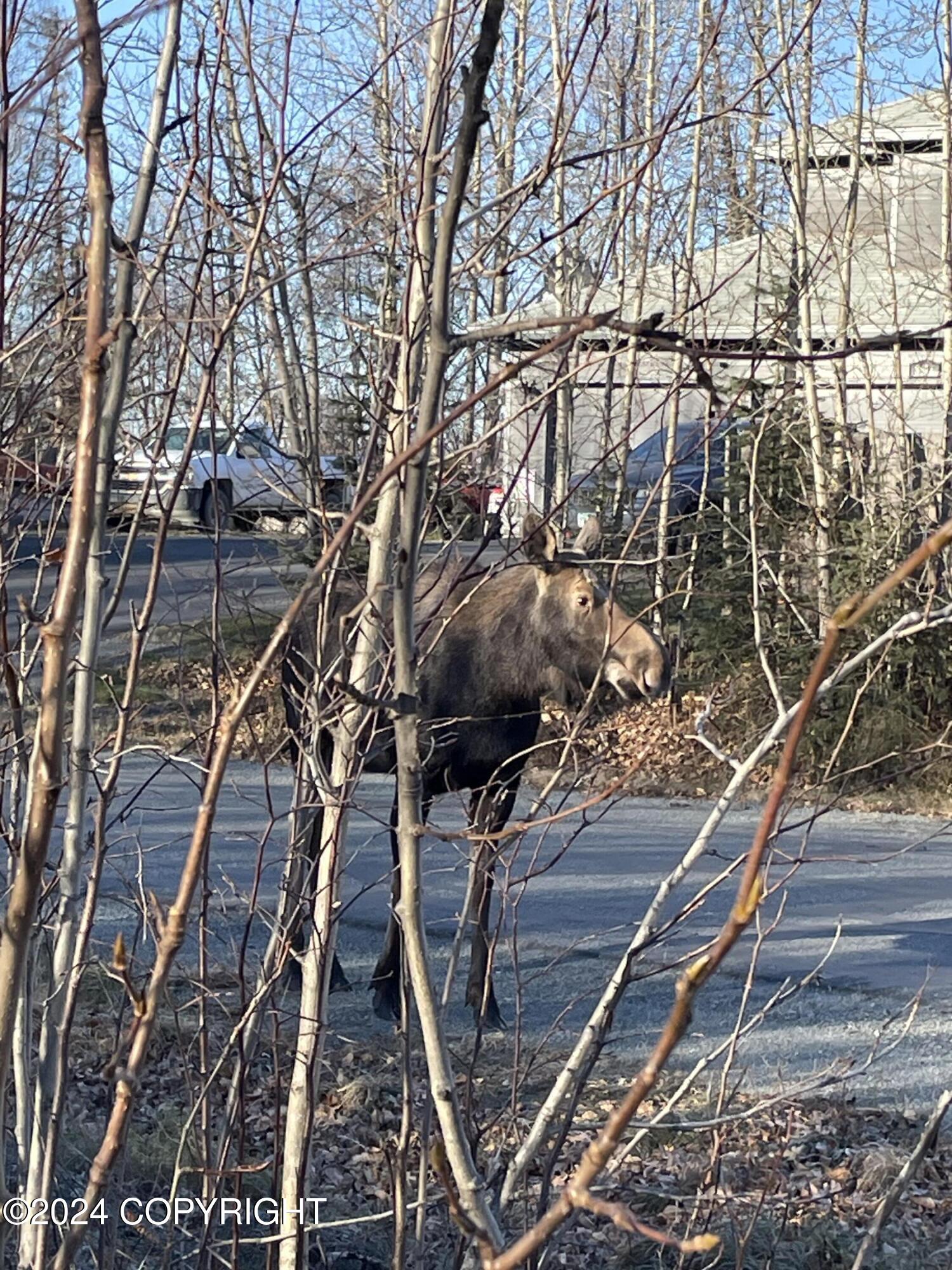 8571 Queensboro Avenue