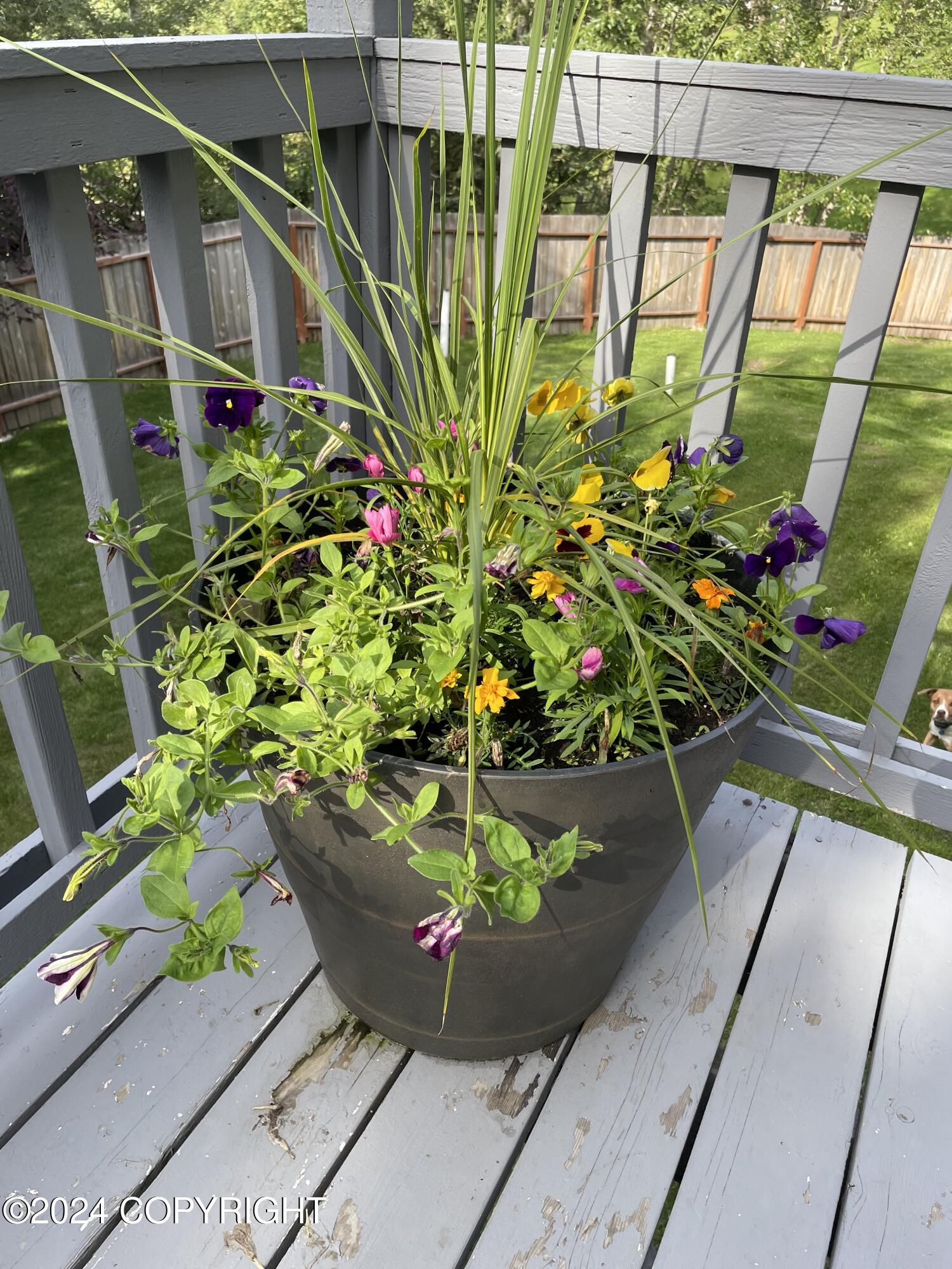 8571 Queensboro Avenue