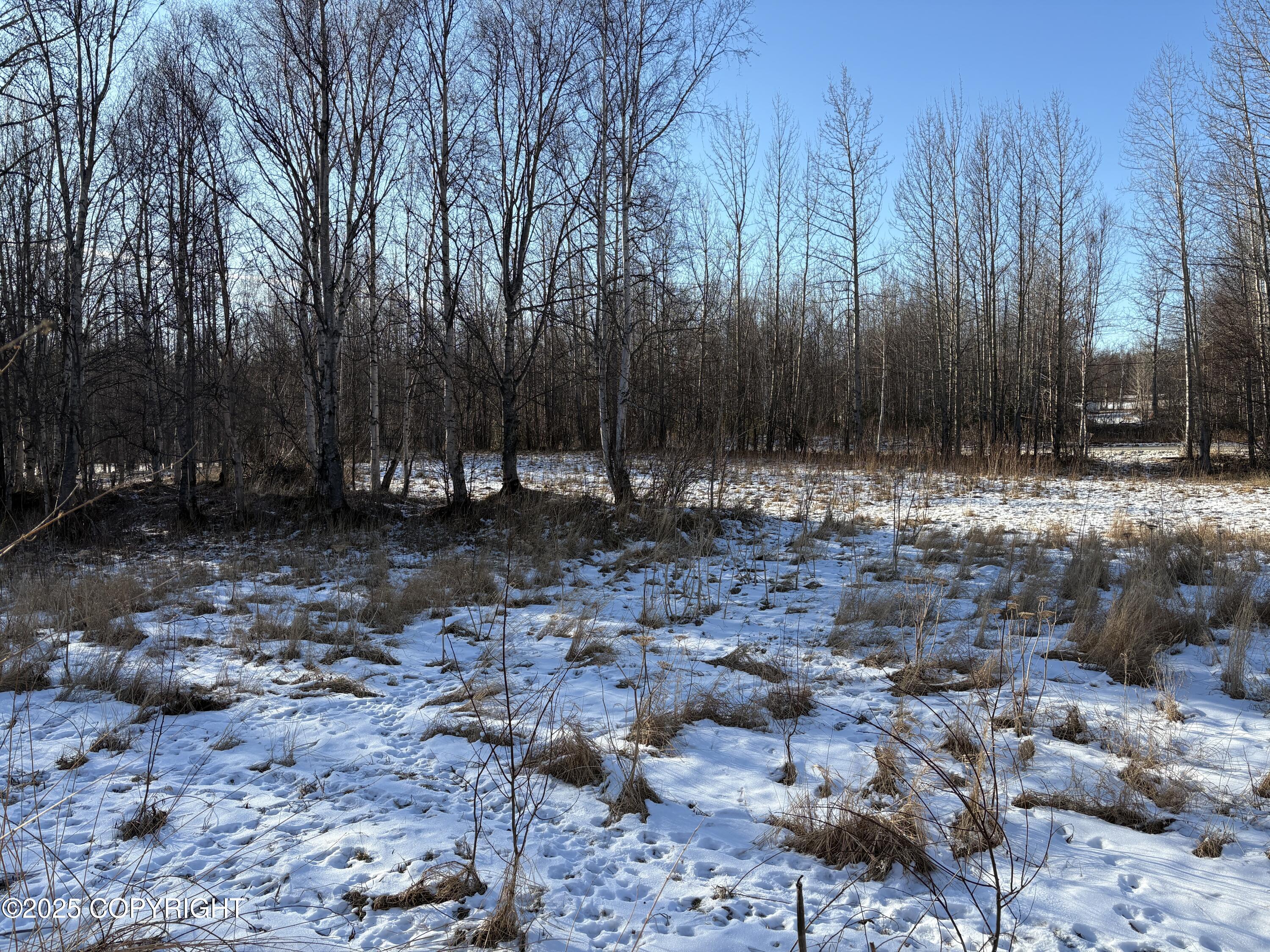 5925 Britchenstrap Drive