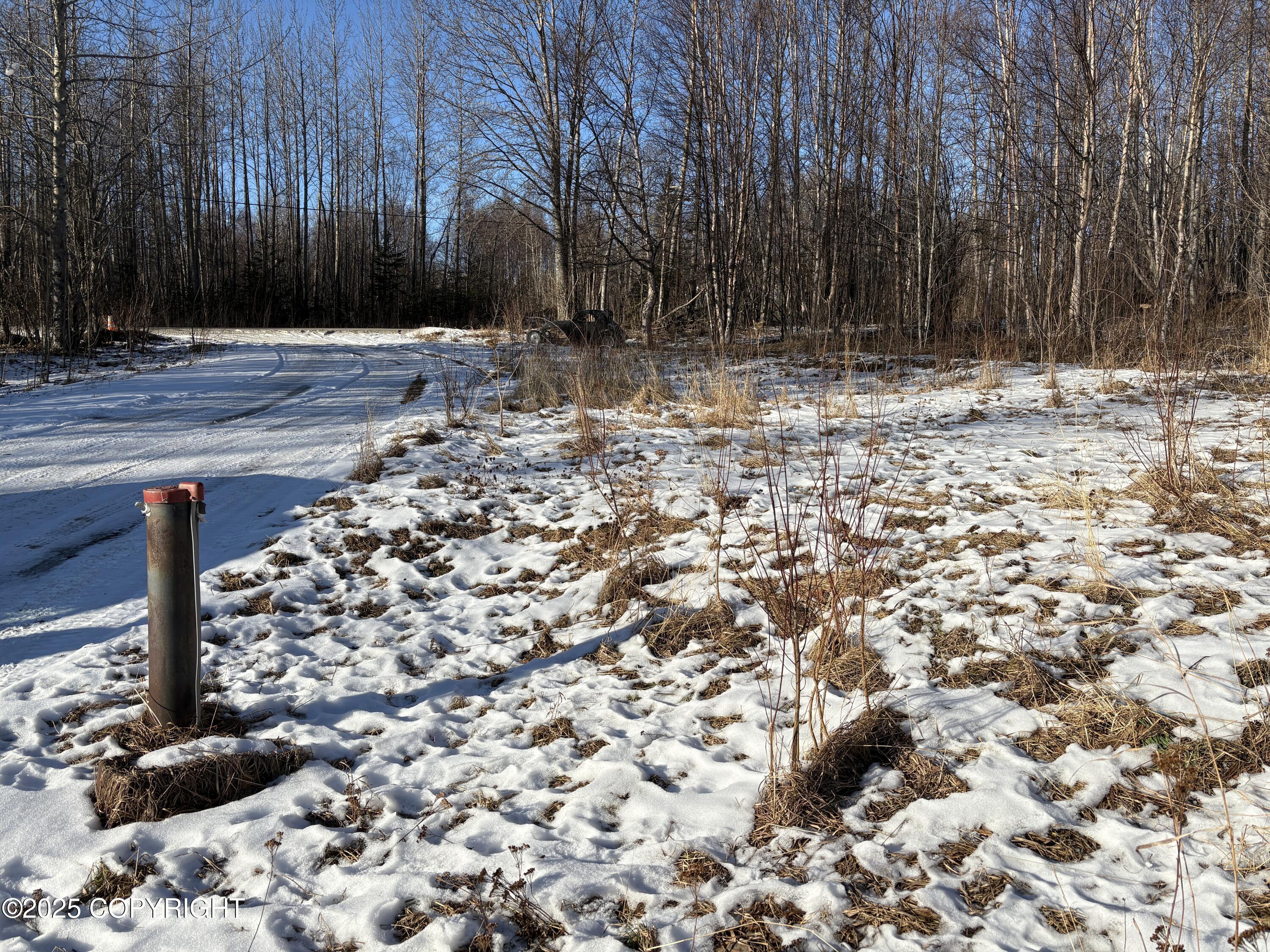 5925 Britchenstrap Drive