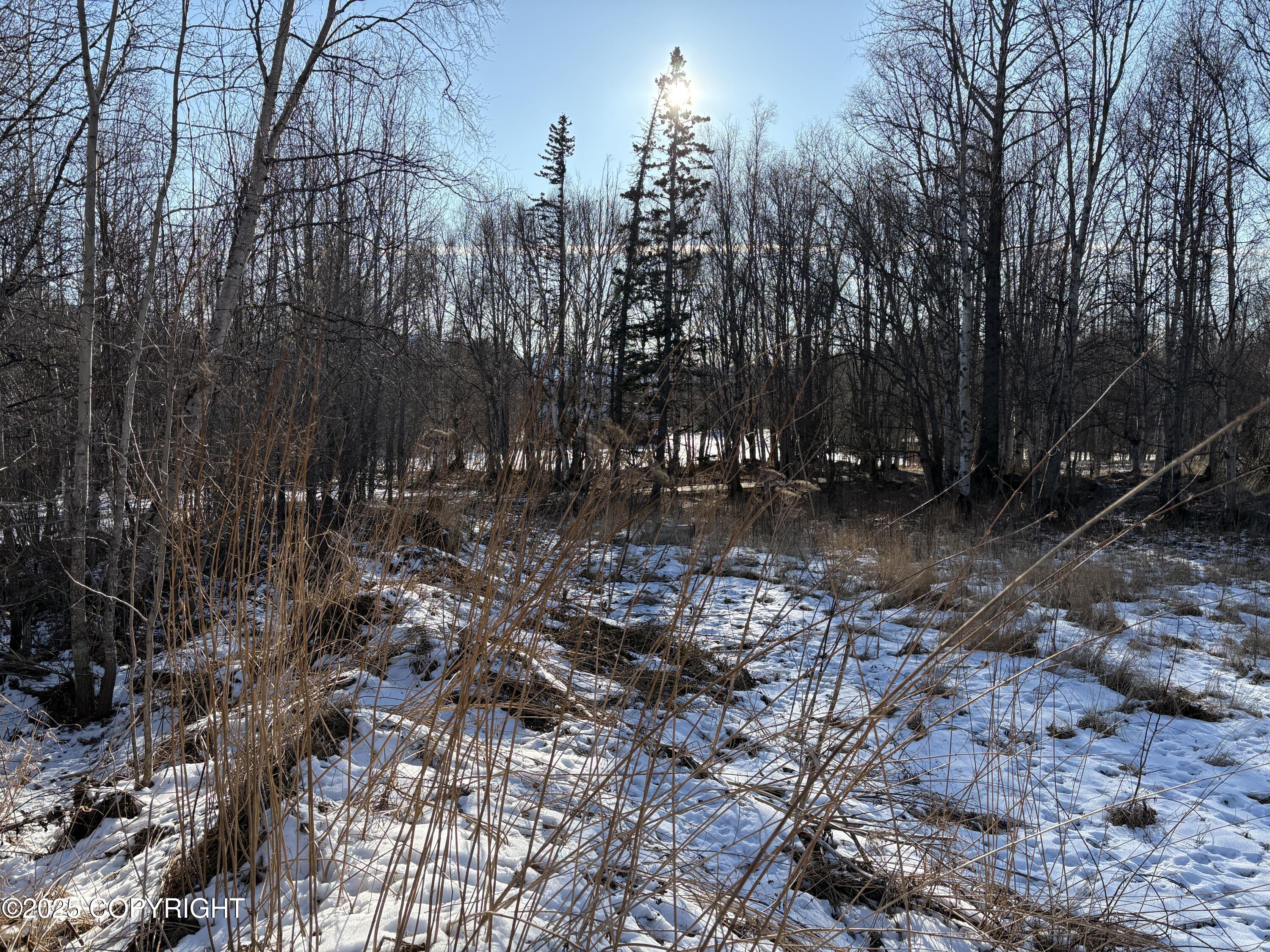 5925 Britchenstrap Drive