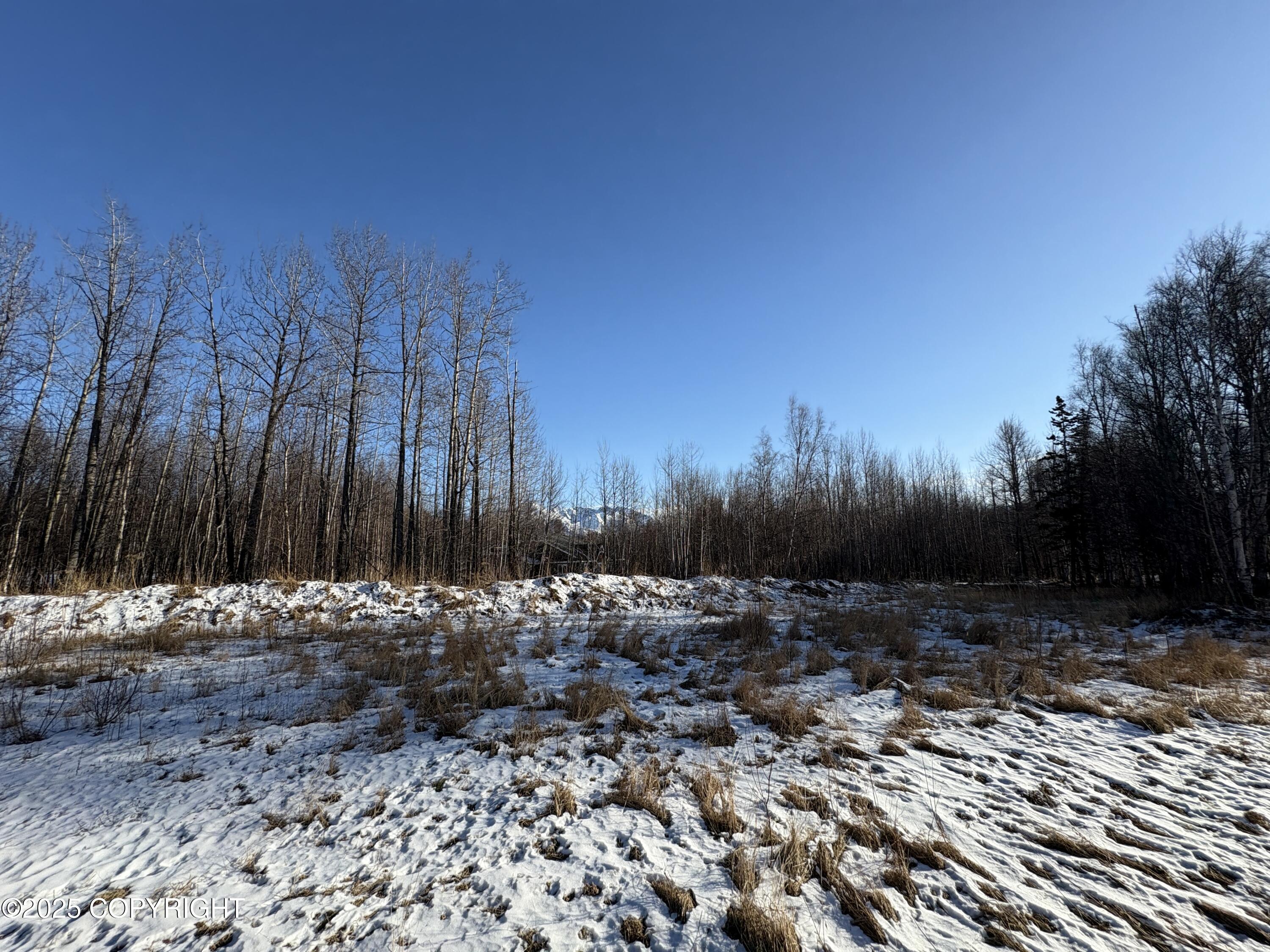 5925 Britchenstrap Drive