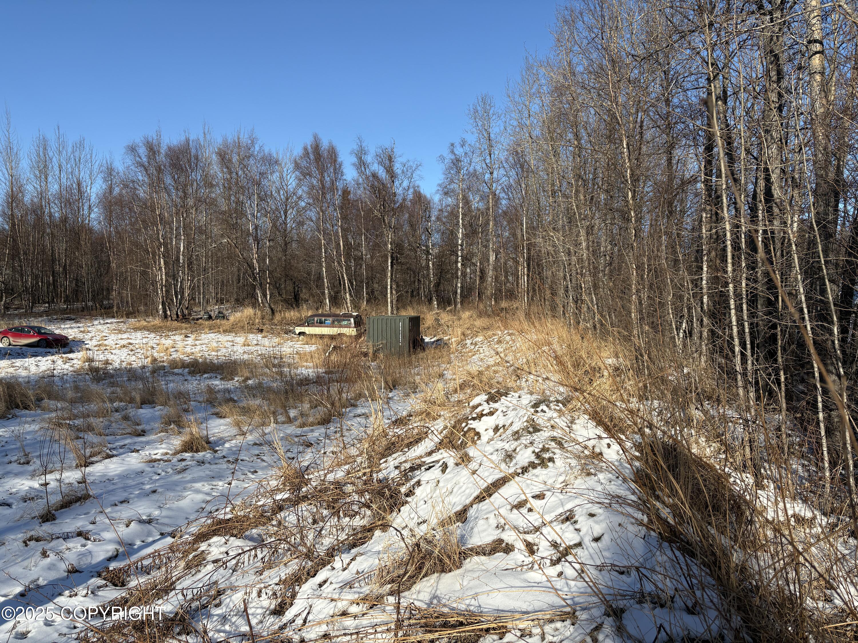 5925 Britchenstrap Drive