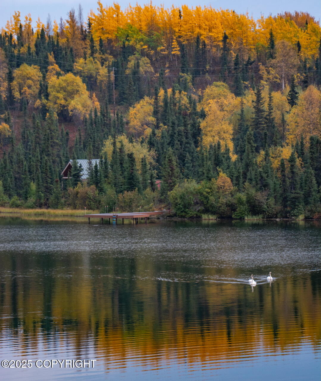 45161 Glenn Highway