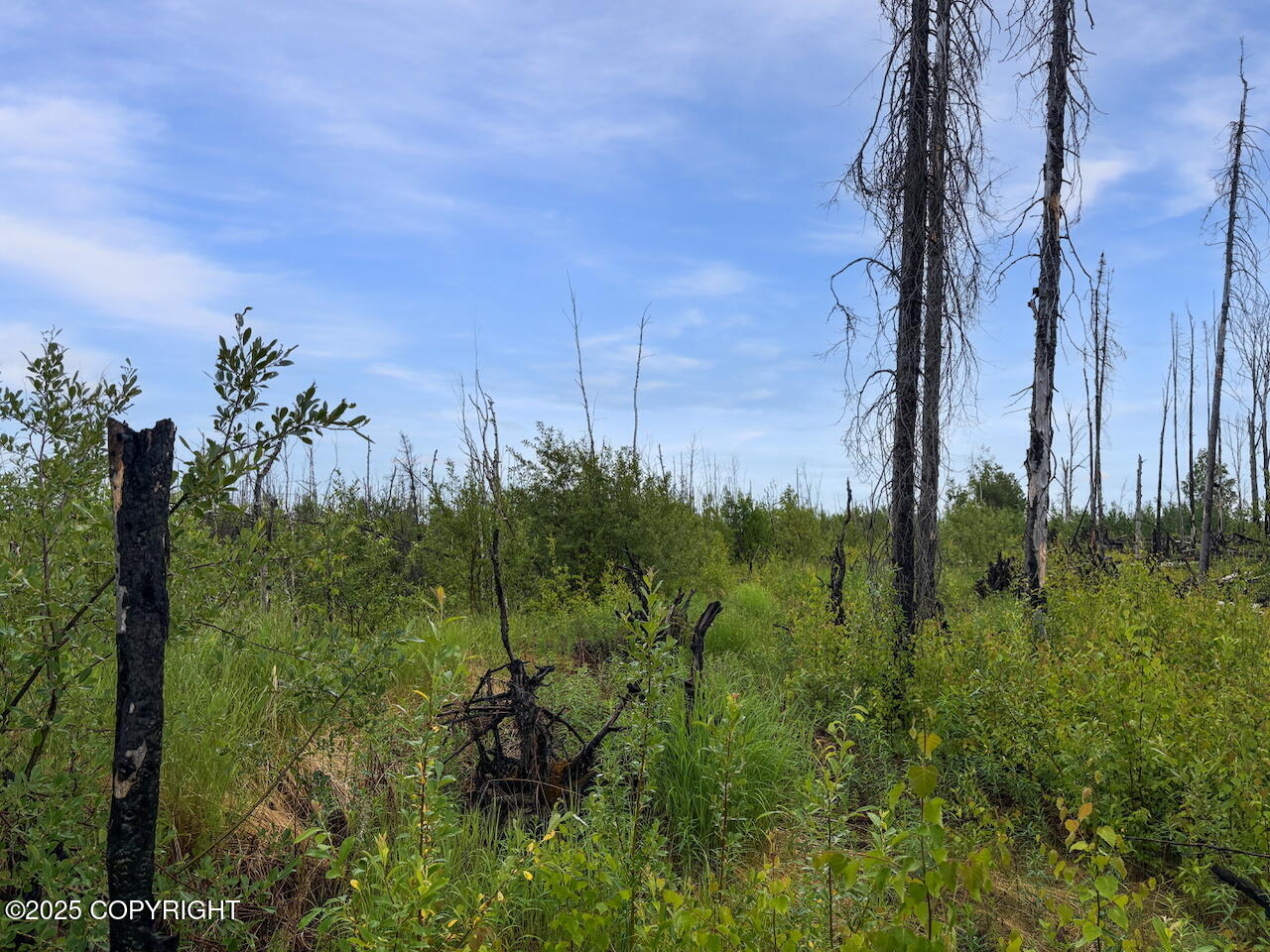 47929 S Yancey Drive