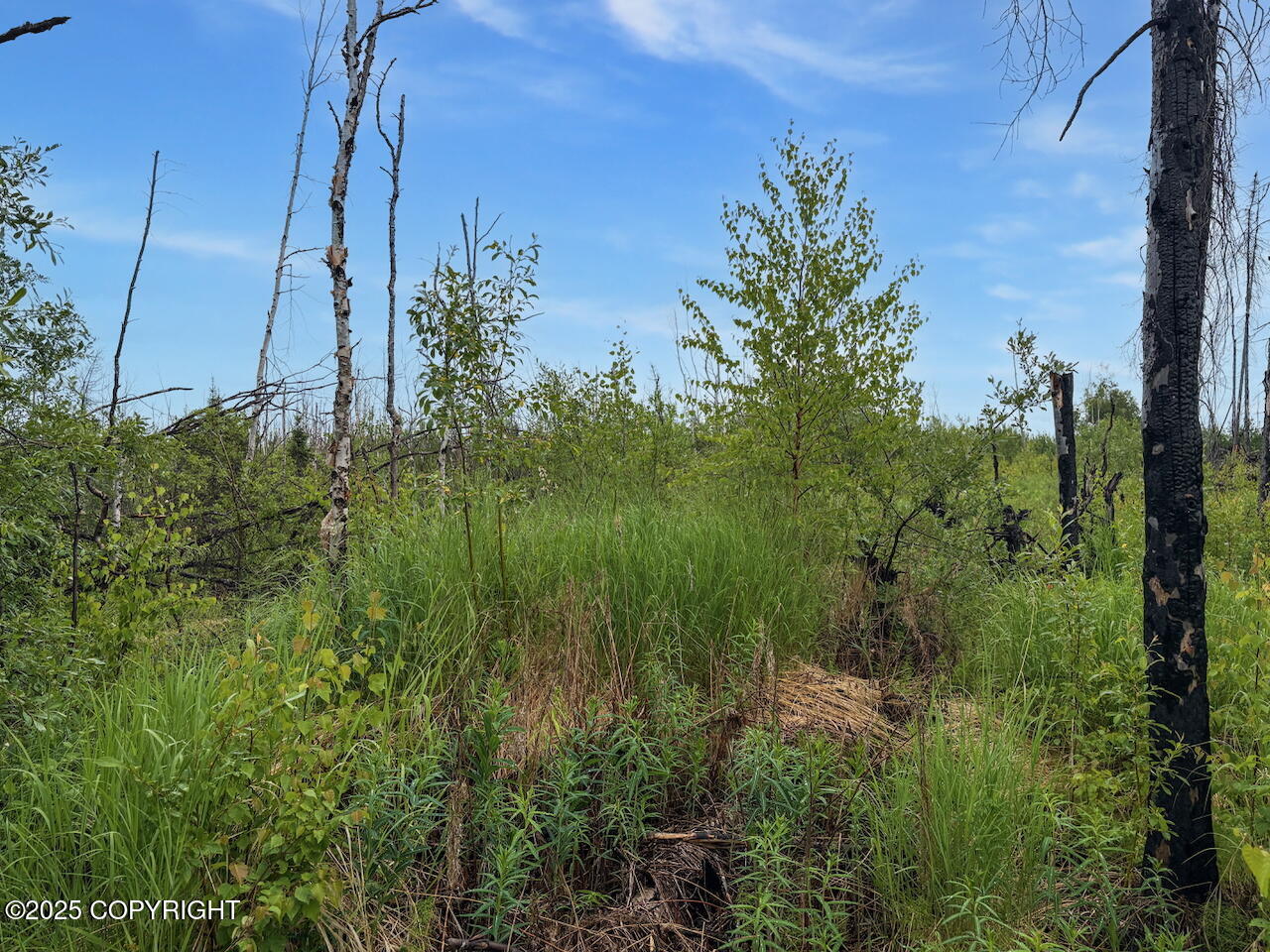 47929 S Yancey Drive