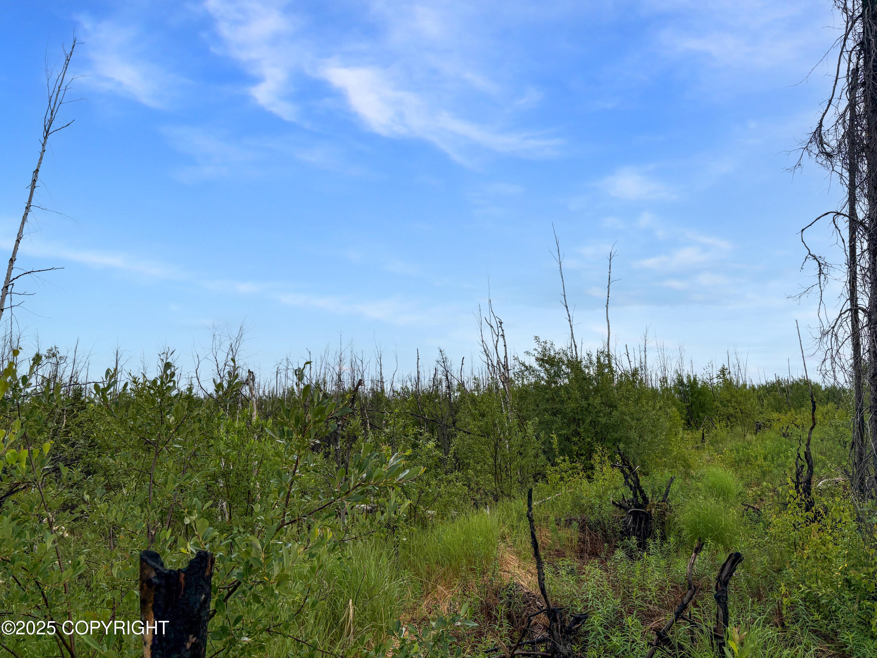 47929 S Yancey Drive