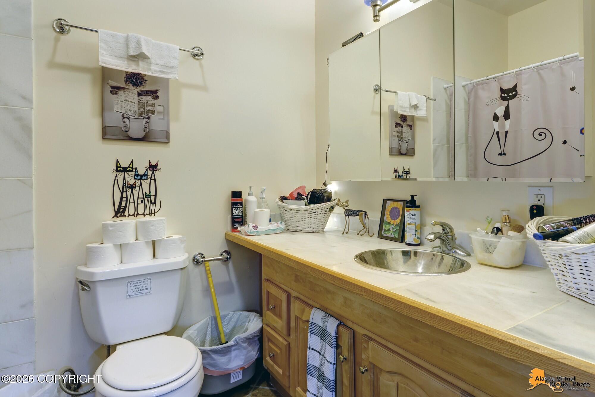 16528 Kings Way Drive