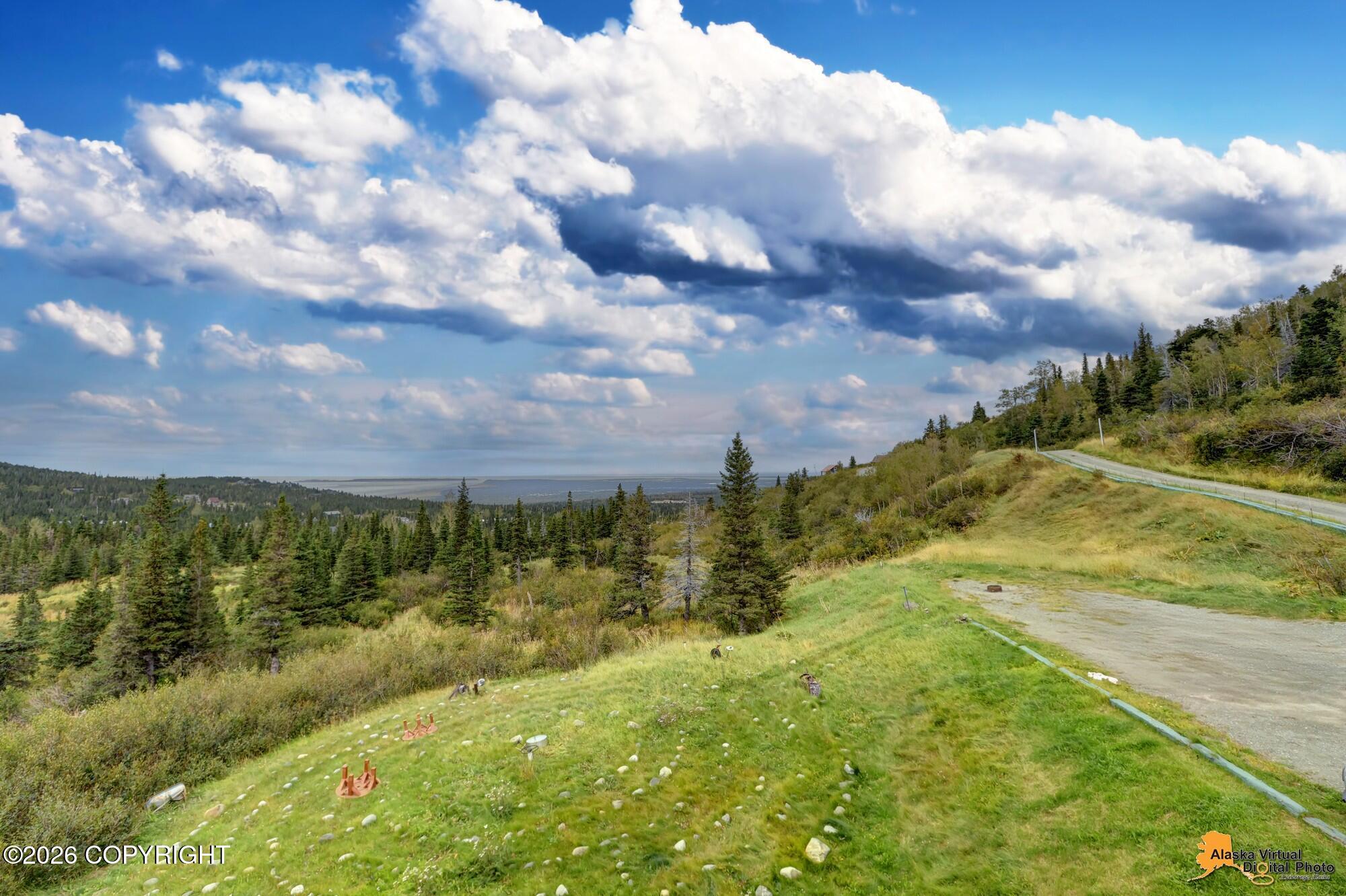 16528 Kings Way Drive