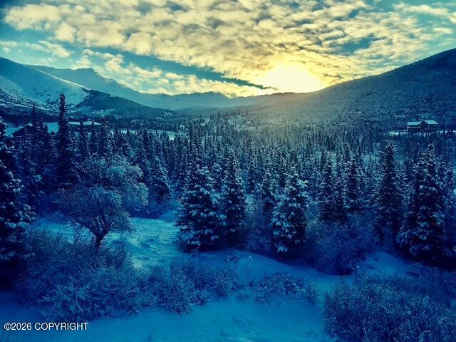 16528 Kings Way Drive