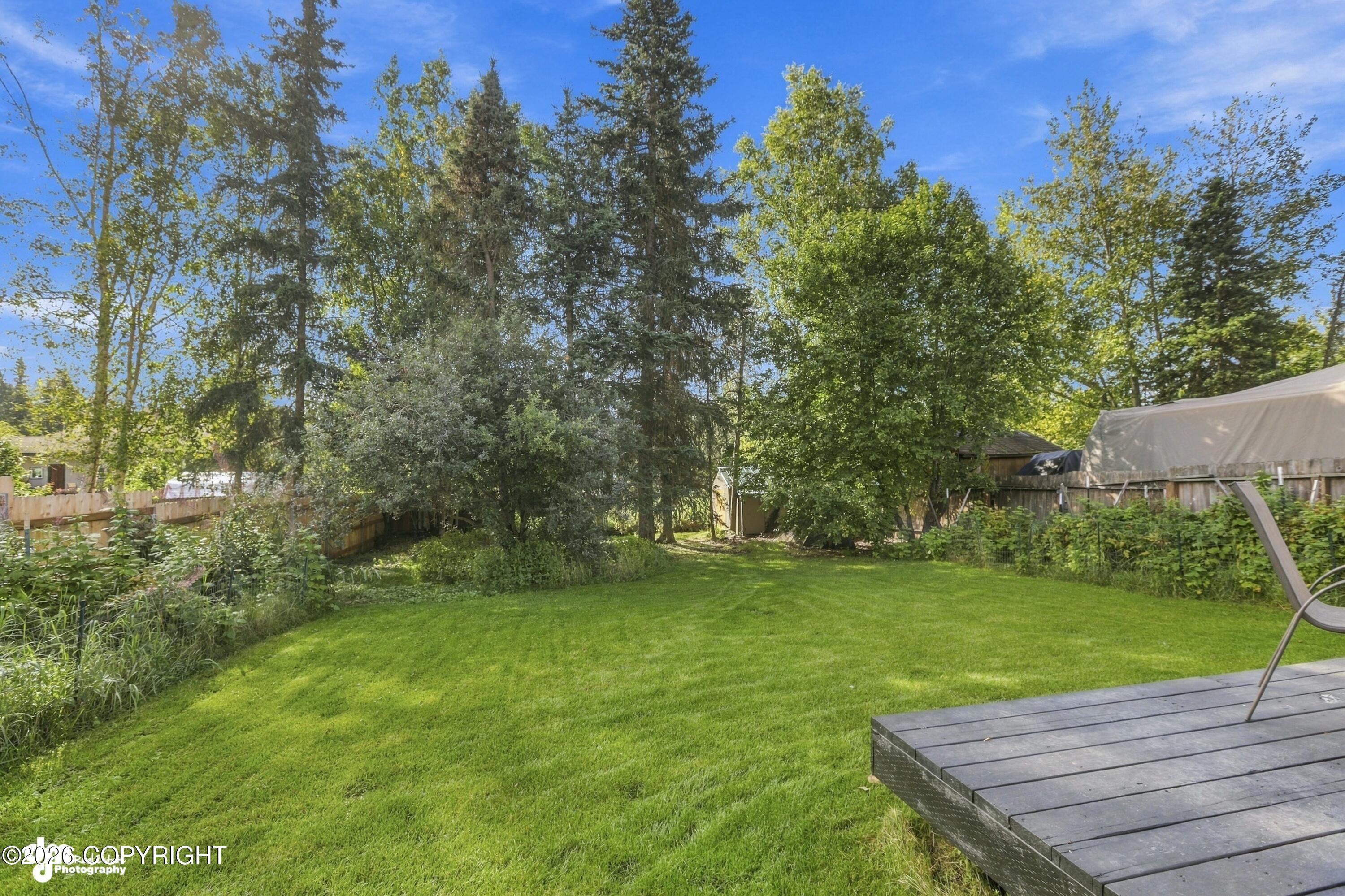 Backyard lawn bordered by mature trees and fencing, with a raised gray deck and chair.