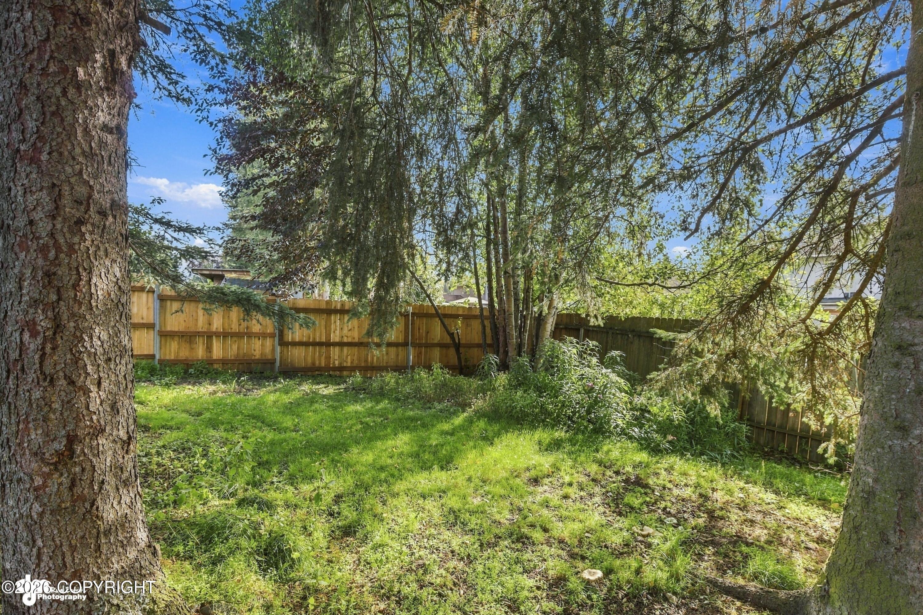 Fenced grassy backyard shaded by mature trees, with shrubs along the fence.