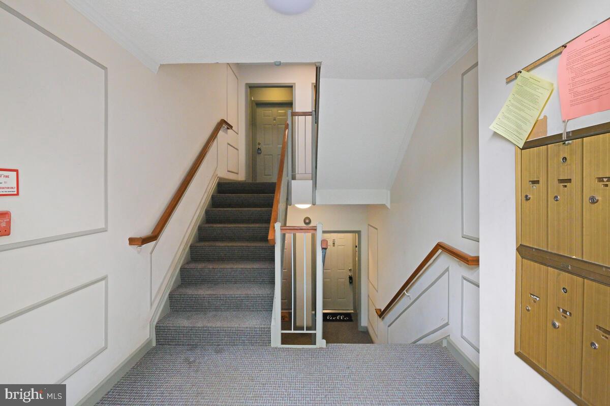 39 PICKERING COURT 02