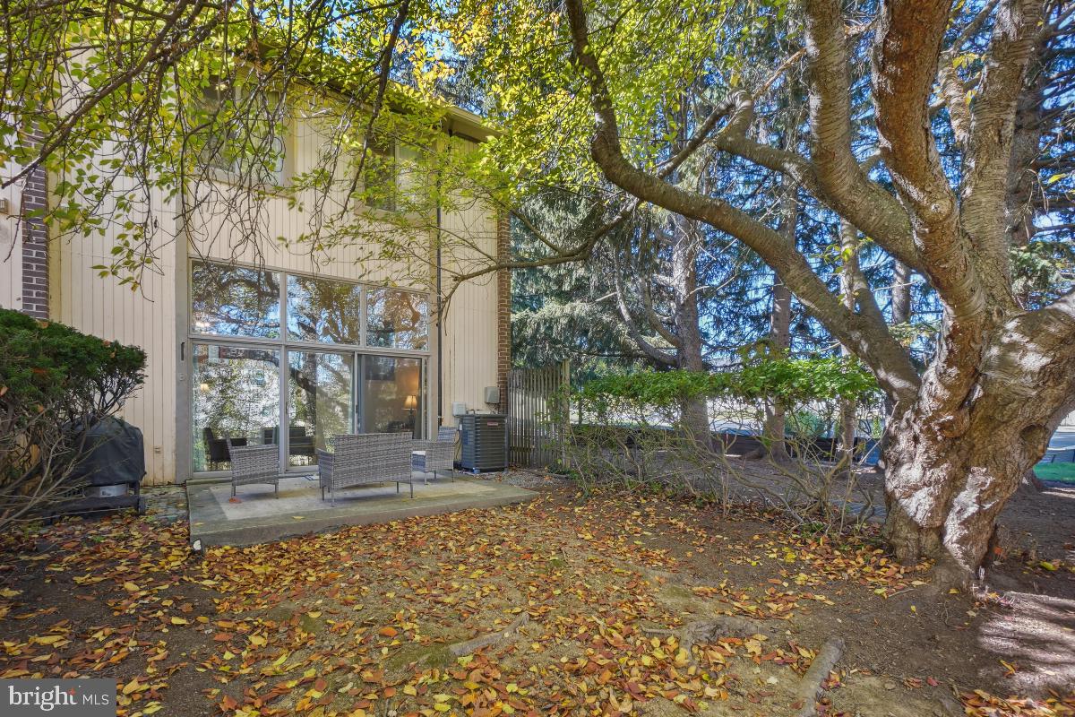 19681 BRASSIE PLACE