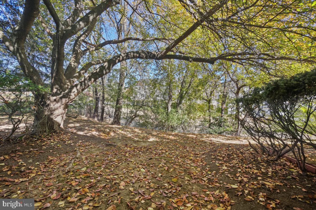 19681 BRASSIE PLACE
