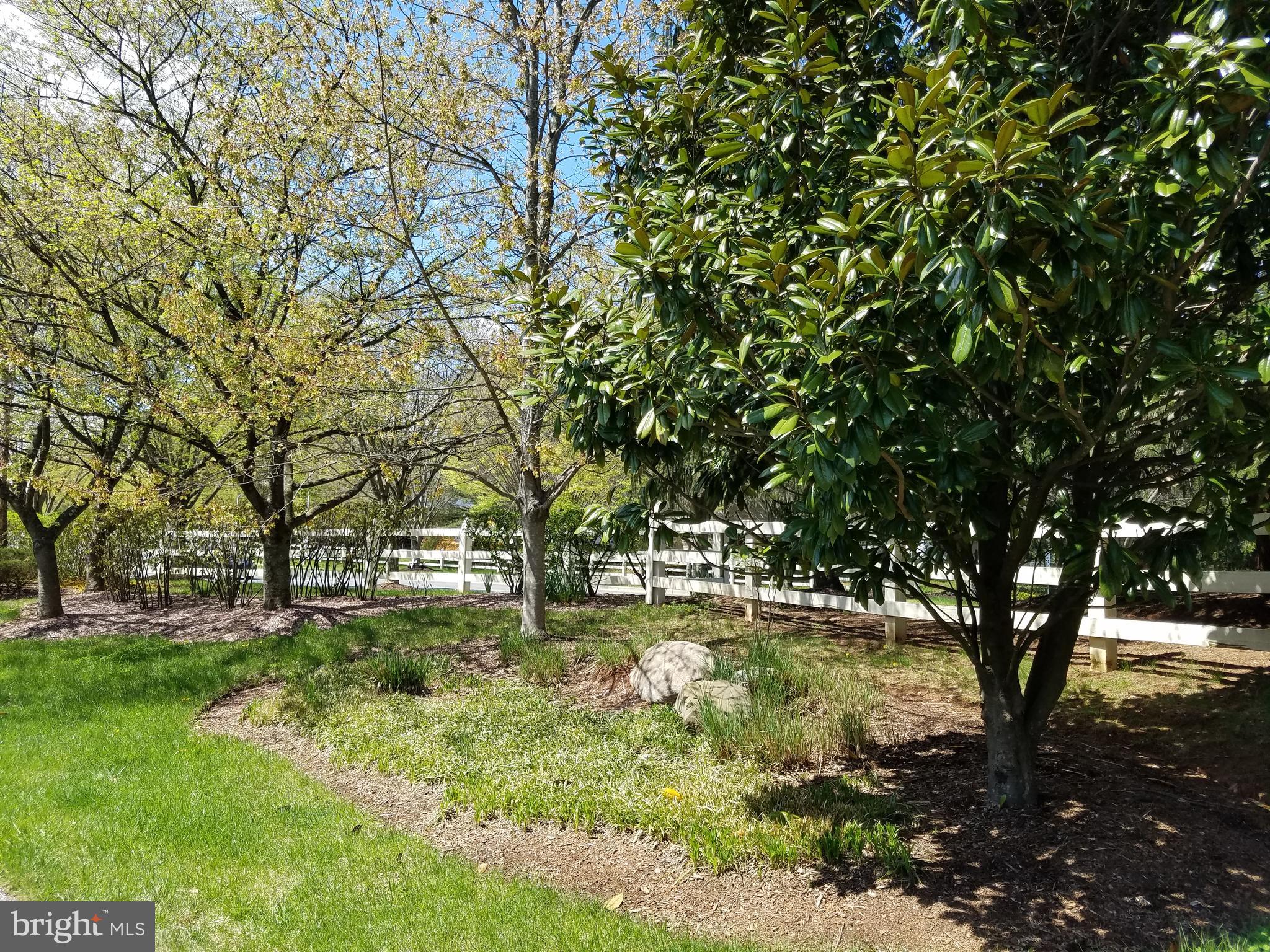 304 SAYBROOKE VIEW DRIVE