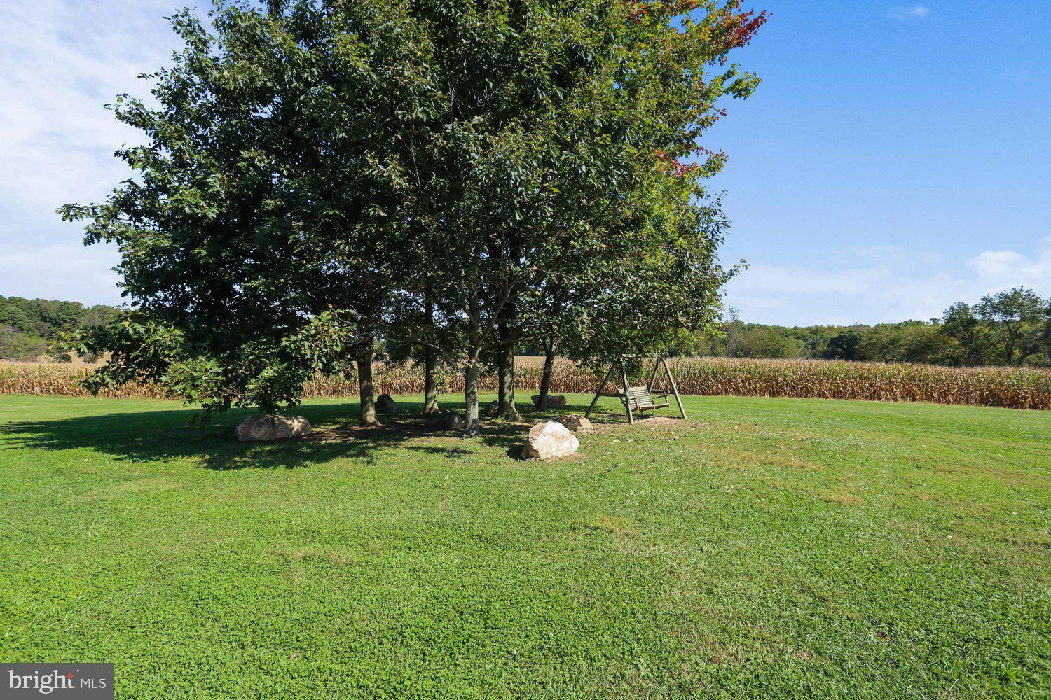 205 TULIP DRIVE