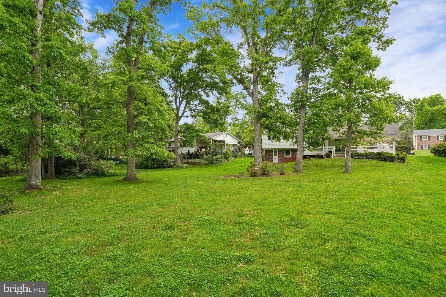 205 TULIP DRIVE