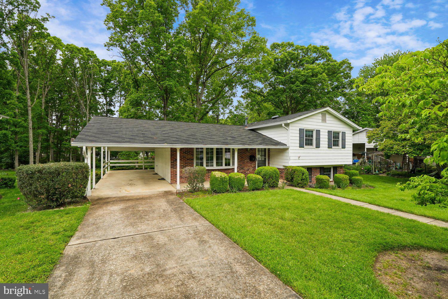 205 TULIP DRIVE