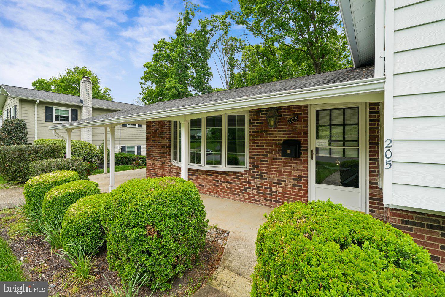 205 TULIP DRIVE
