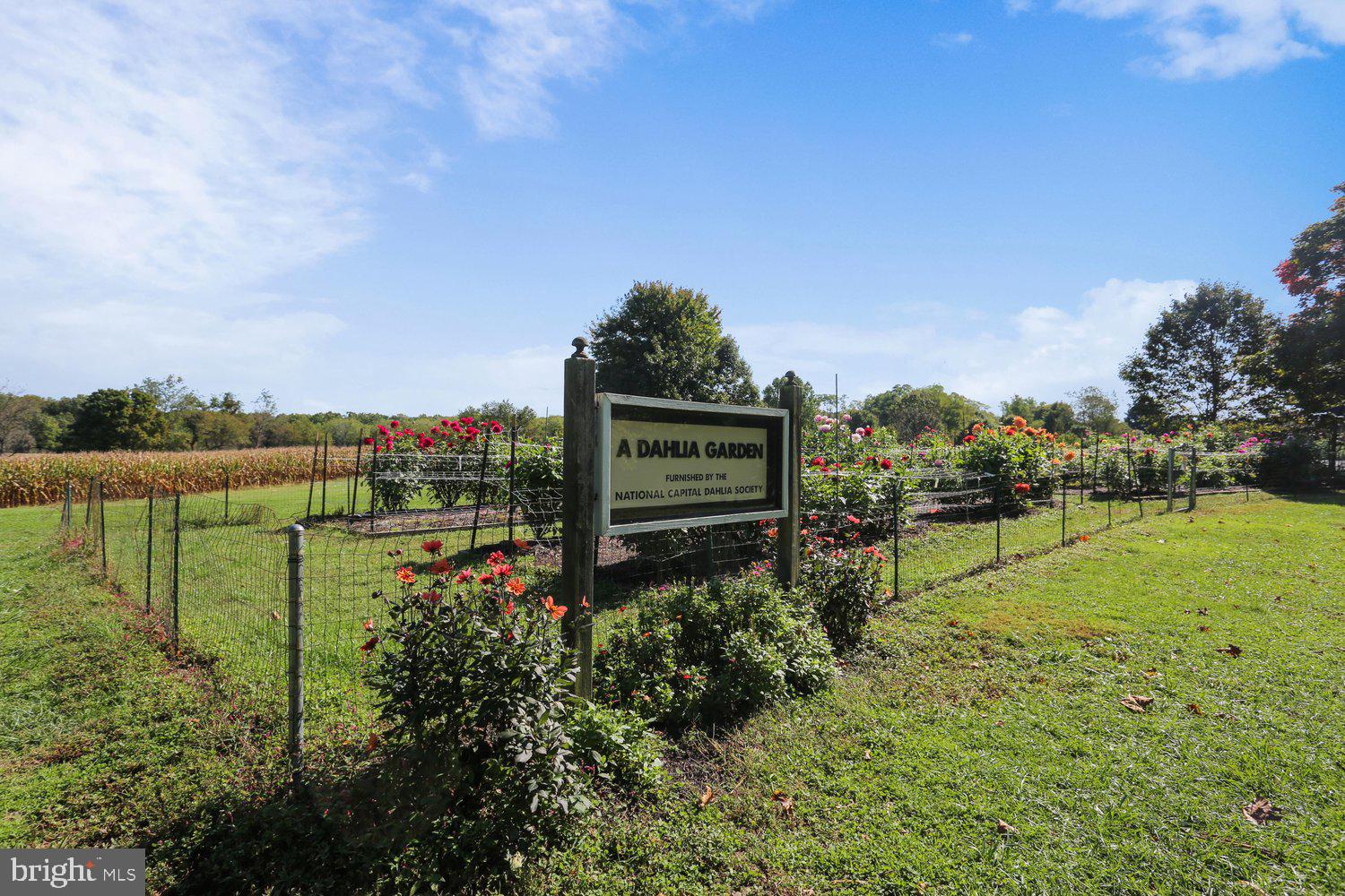 205 TULIP DRIVE