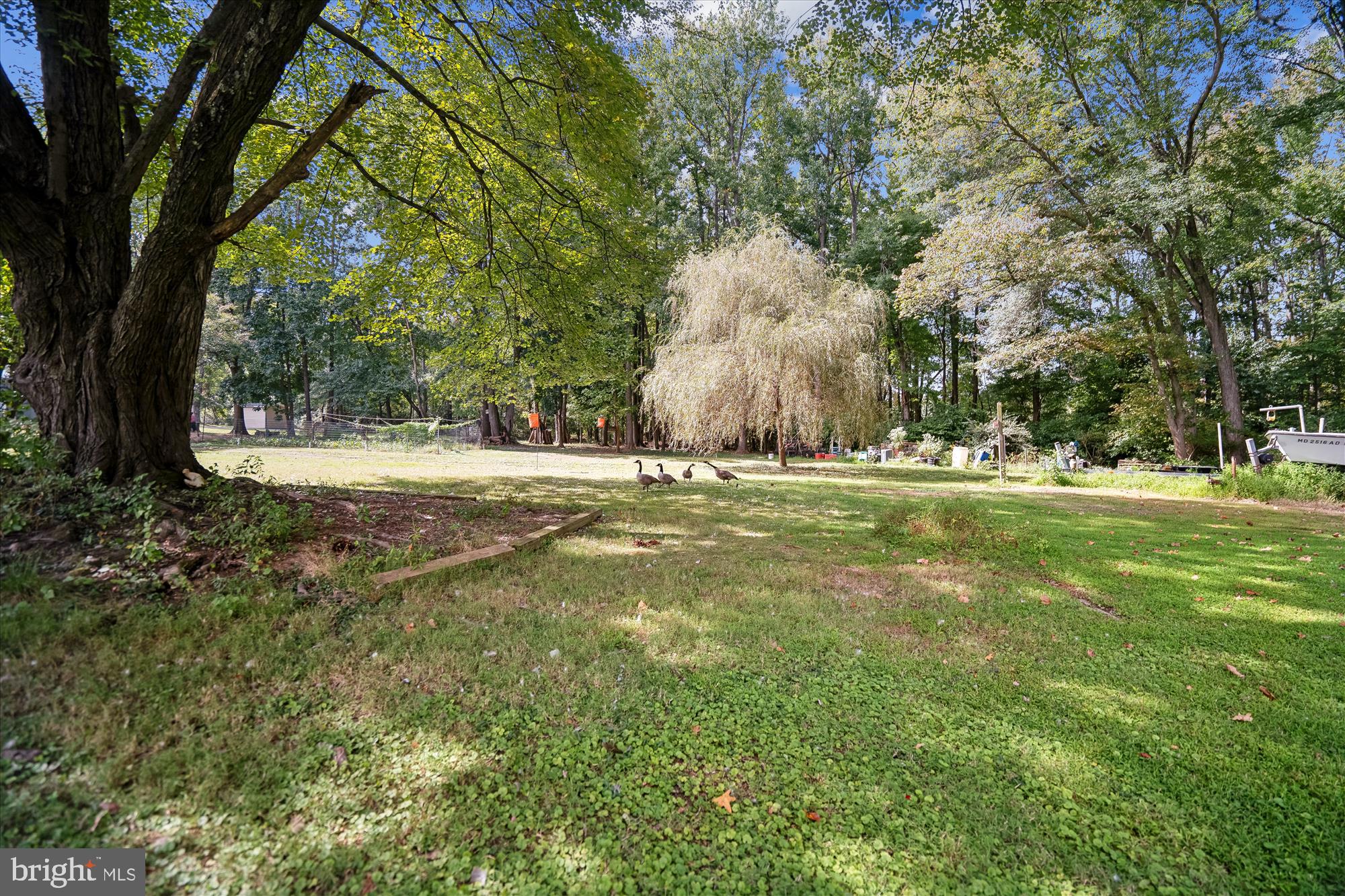 5426 ODELL