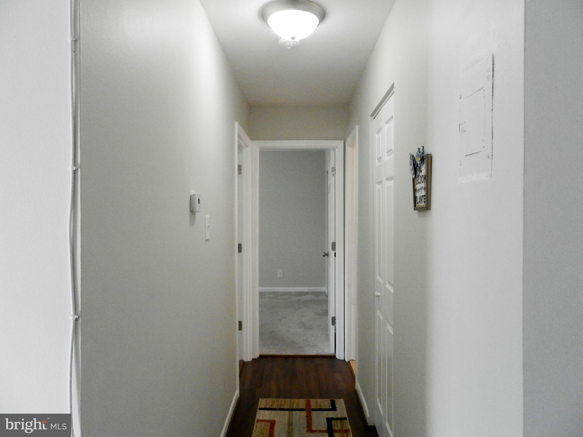 7095 SPRING GARDEN DRIVE 203