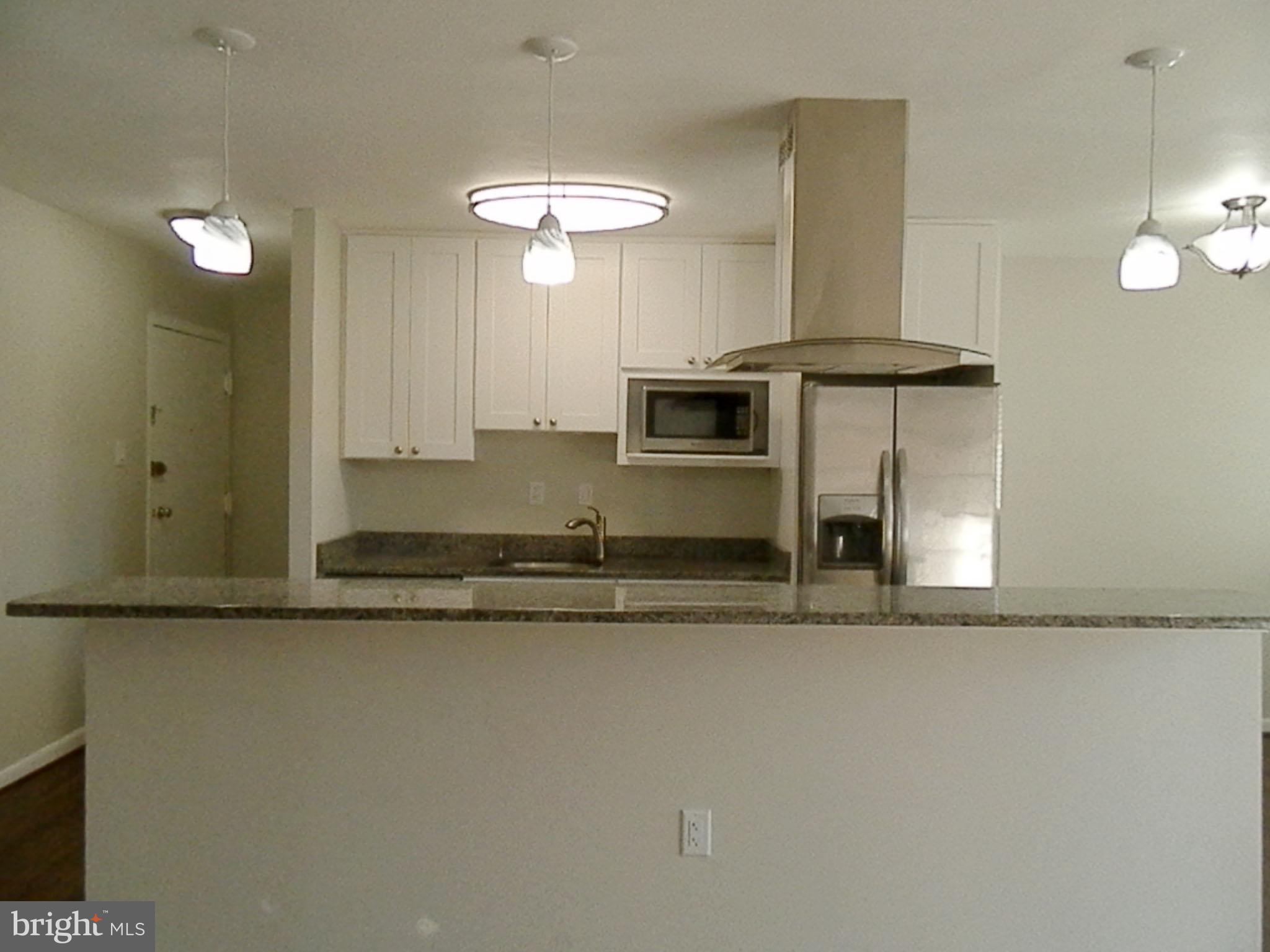 7095 SPRING GARDEN DRIVE 203