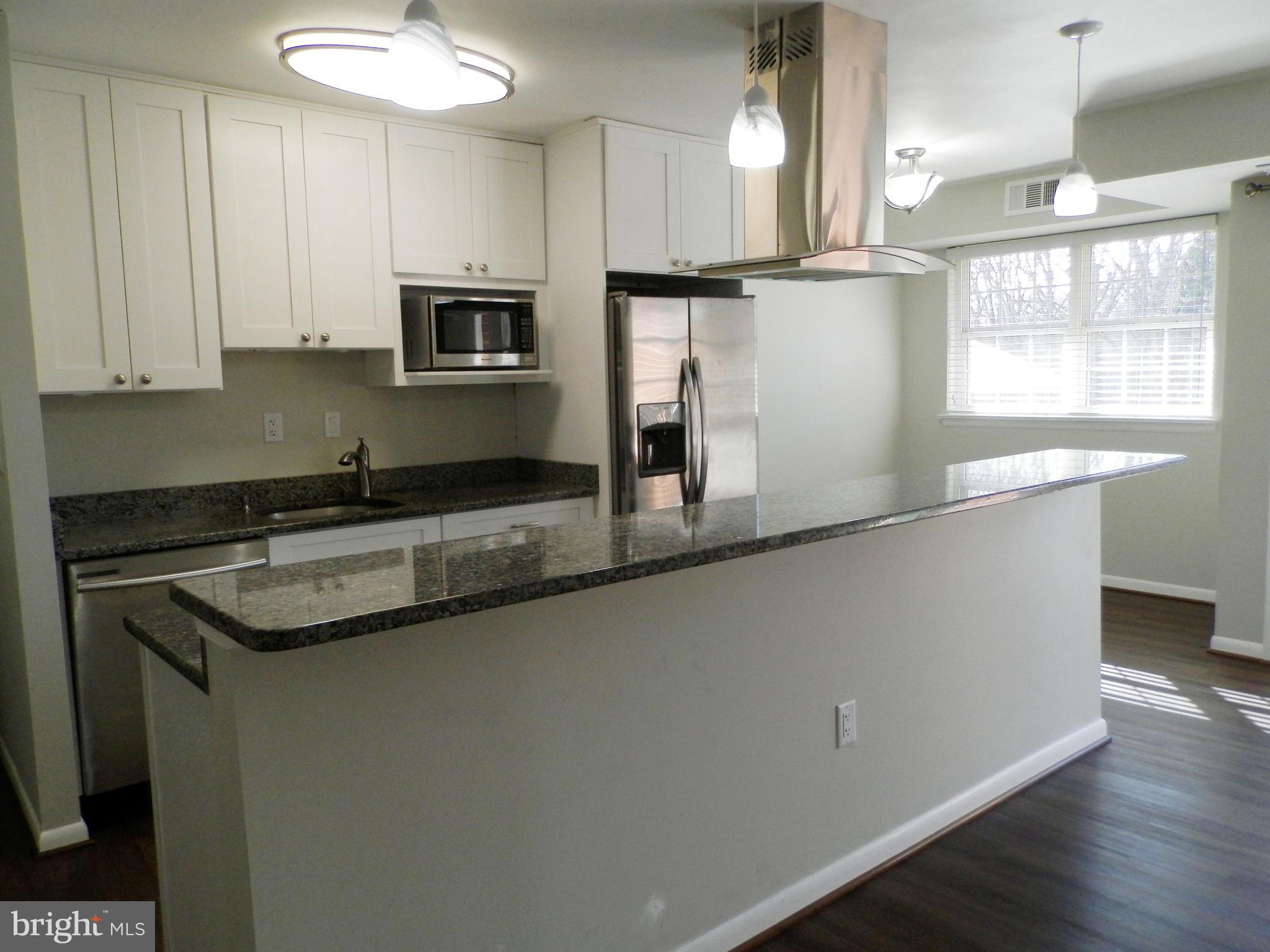 7095 SPRING GARDEN DRIVE 203