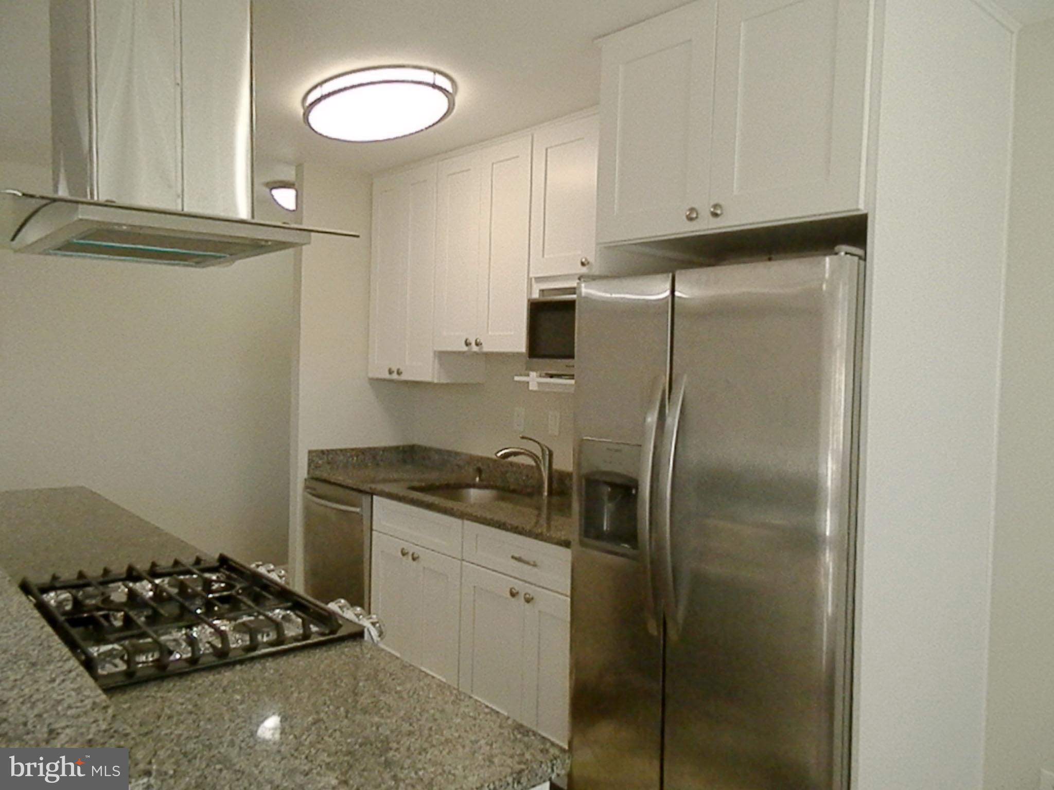 7095 SPRING GARDEN DRIVE 203
