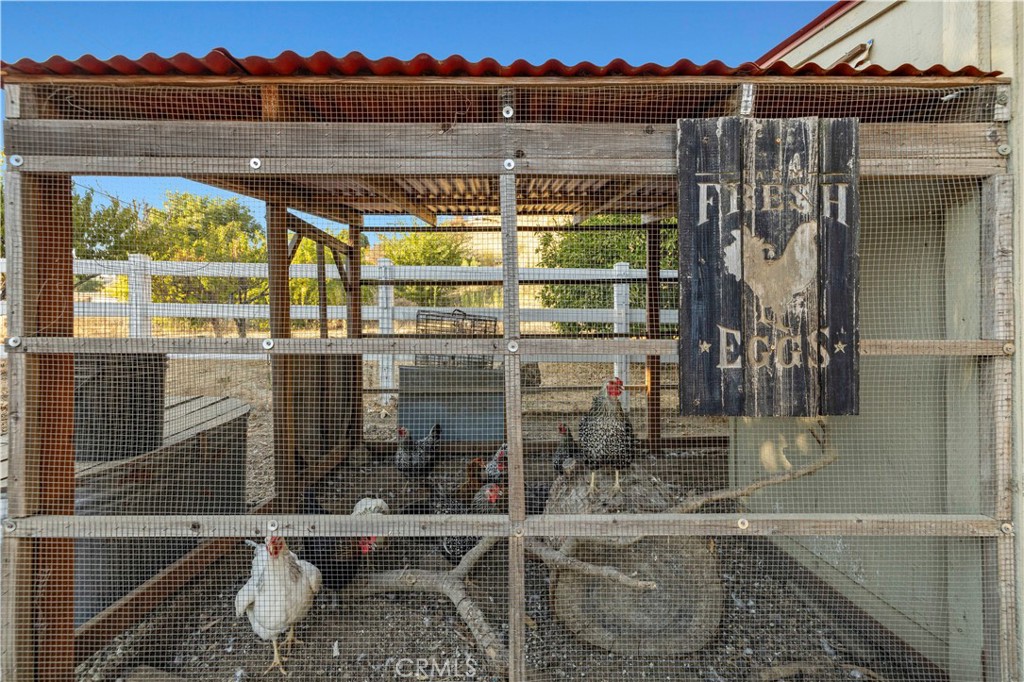 30249 Hawkset Street