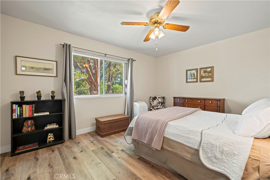 30249 Hawkset Street