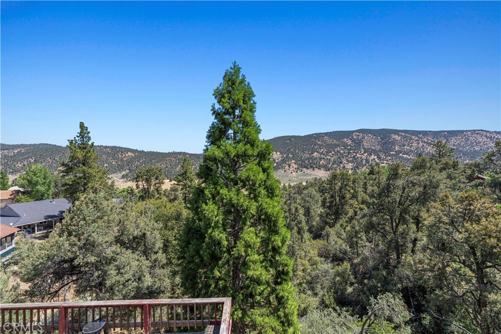 1104 Snowbird Drive