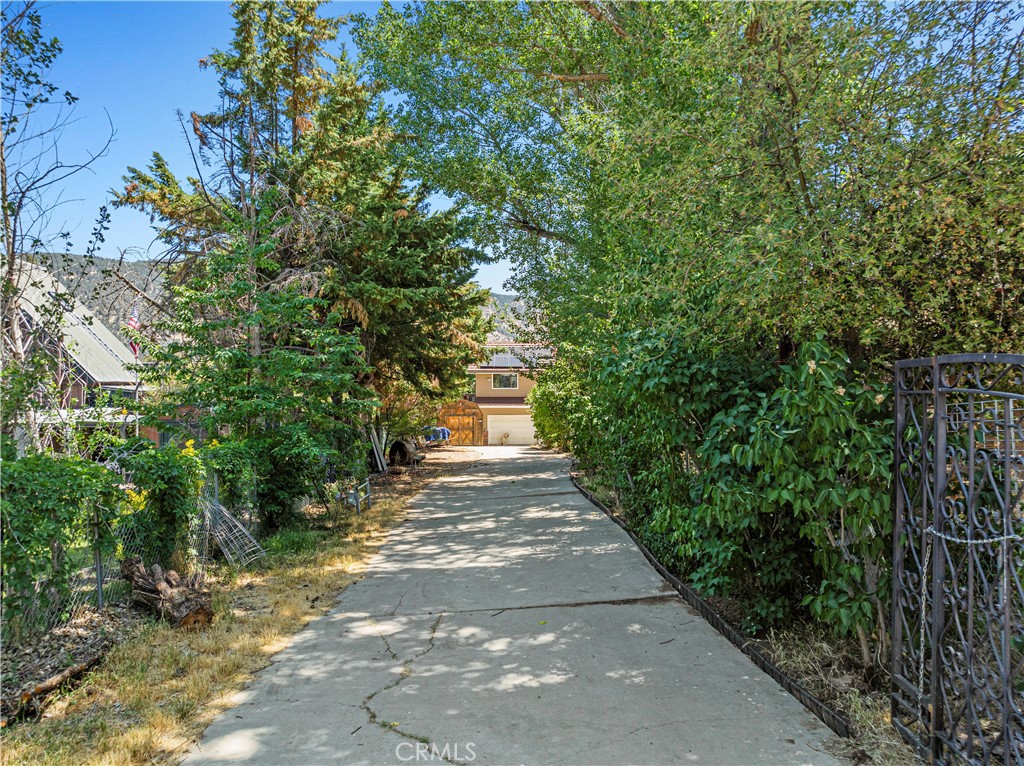 1104 Snowbird Drive