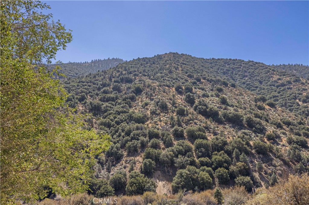 4437 Race Trail