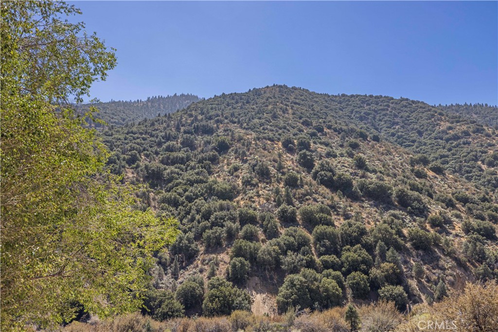 4437 Race Trail
