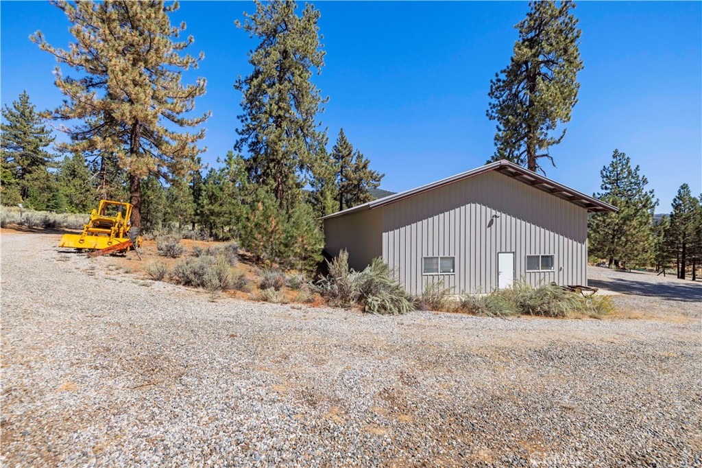 11753 Tanglefoot Lane