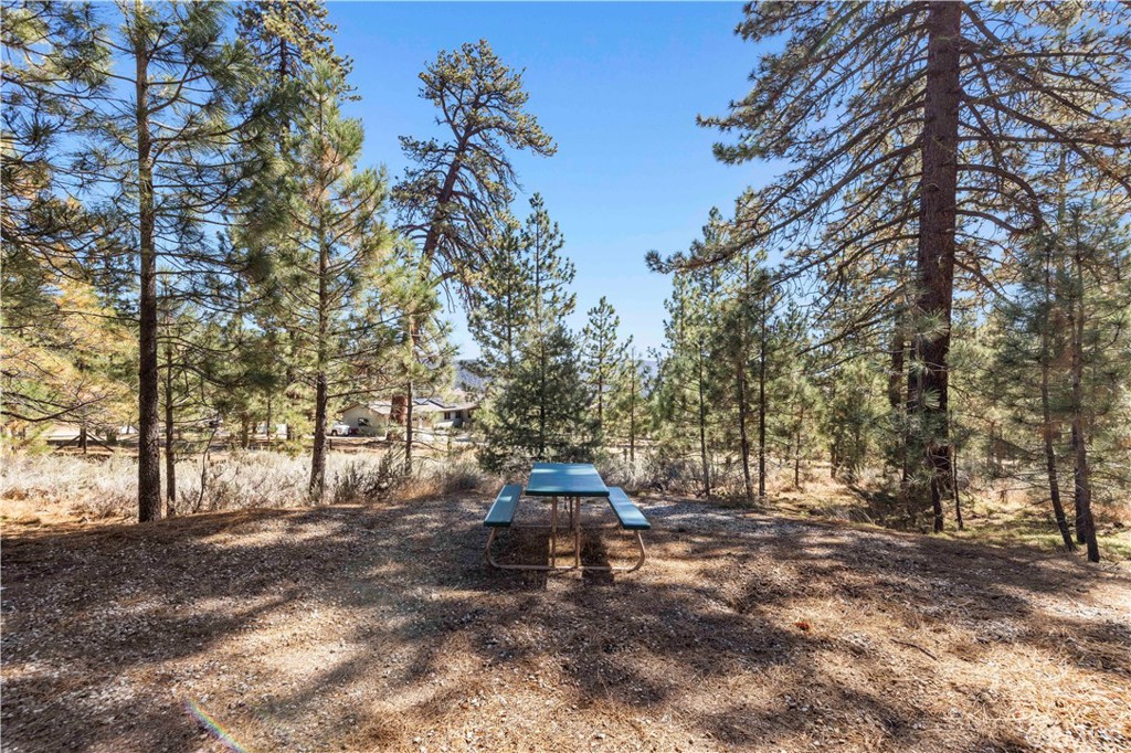 11753 Tanglefoot Lane