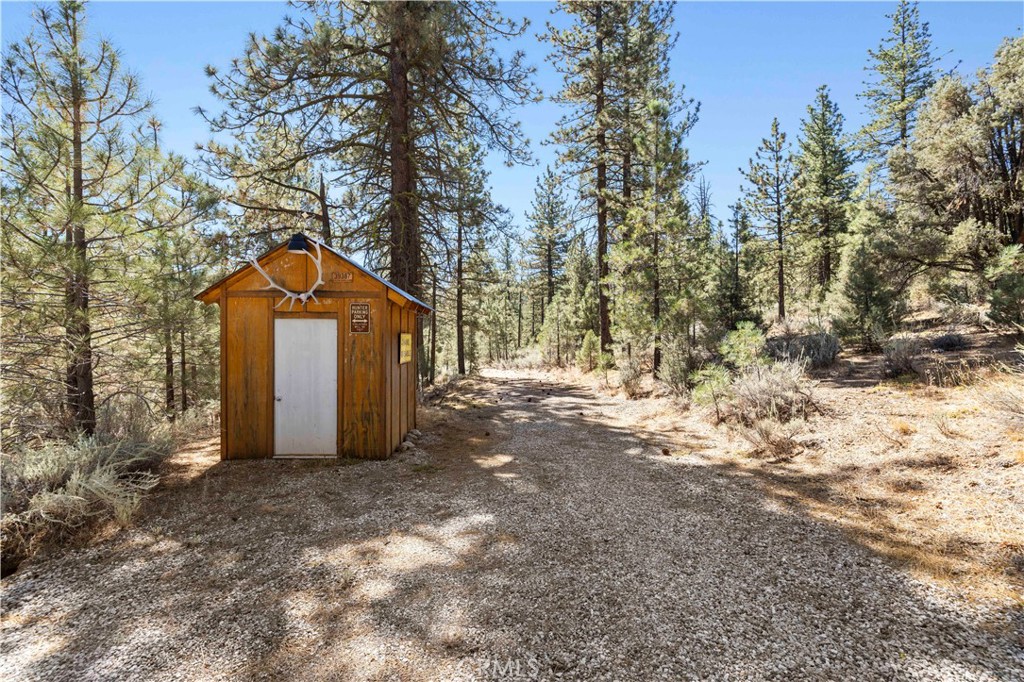 11753 Tanglefoot Lane