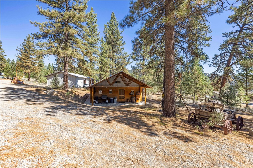 11753 Tanglefoot Lane