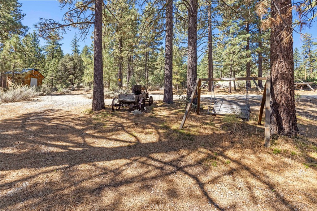 11753 Tanglefoot Lane