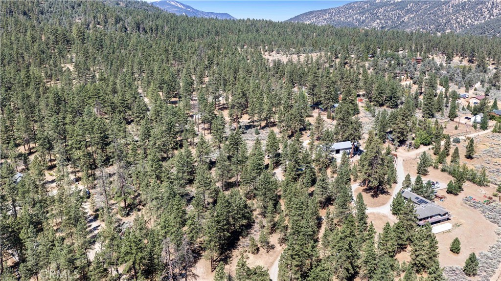 11753 Tanglefoot Lane
