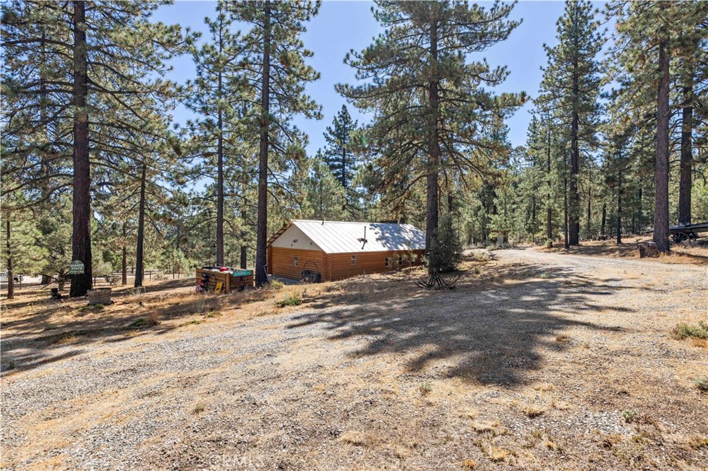 11753 Tanglefoot Lane