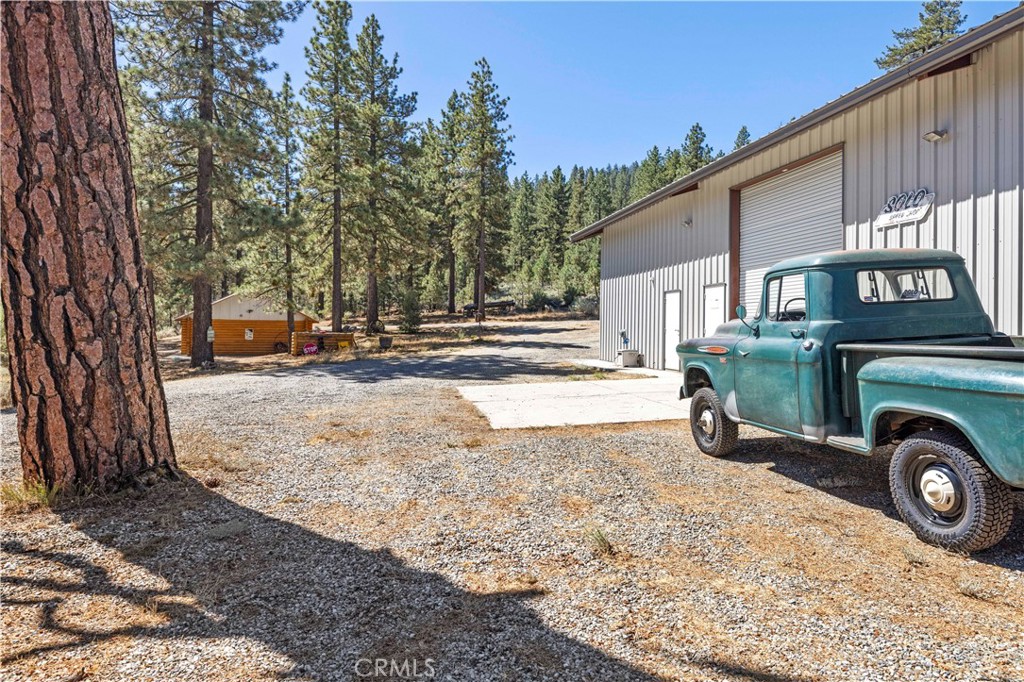 11753 Tanglefoot Lane