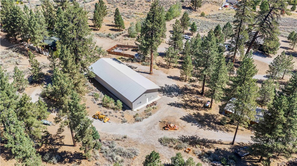 11753 Tanglefoot Lane