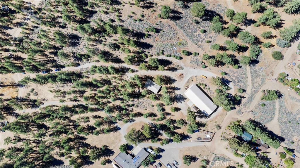 11753 Tanglefoot Lane