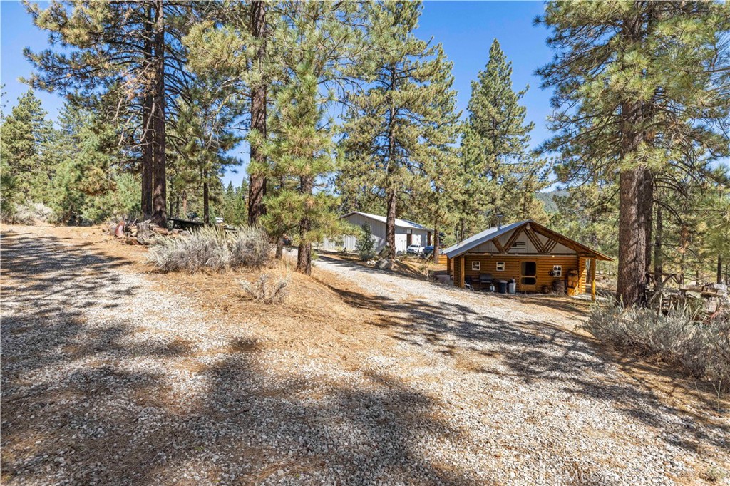 11753 Tanglefoot Lane